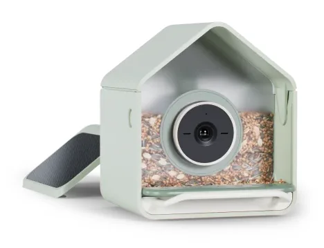 Birdbuddy Nook Solar Smart Bird Feeder